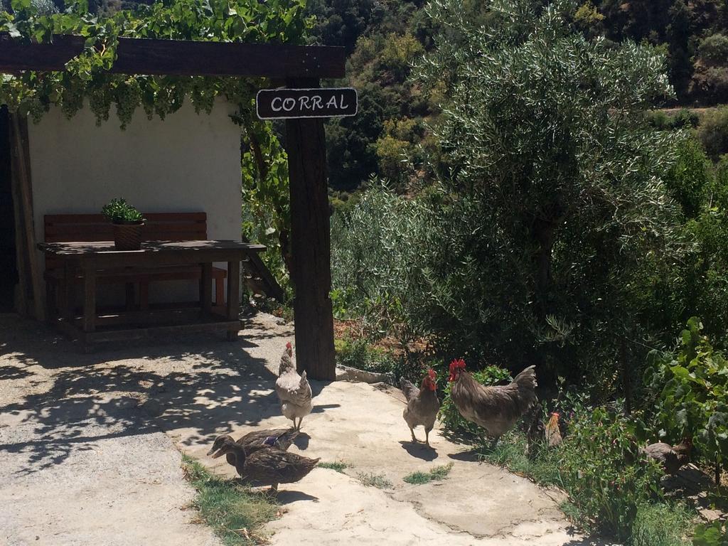 Gasthaus Cortijo La Solana Guejar Sierra Exterior foto